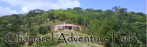 chamarel-adventure-park