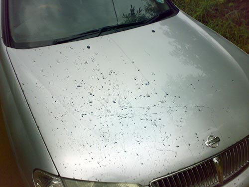 zenfants-college-sovaze