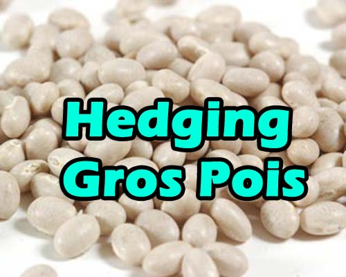 Hedging Gros Pois