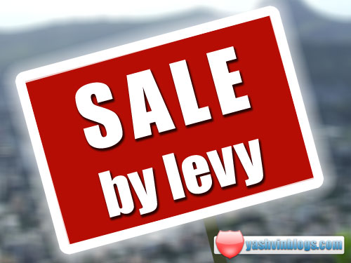 Sale by Levy In Mauritius