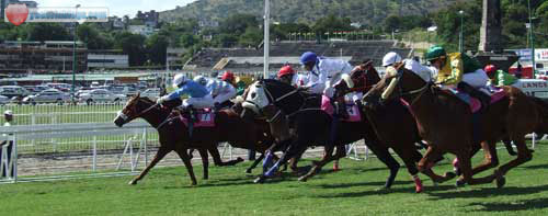 Horses at Champs de Mars