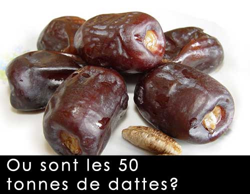 Dattes