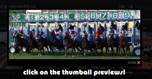 Click to view large picture!