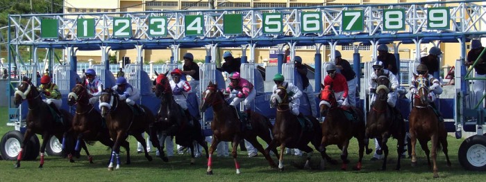 The starting block The starting block