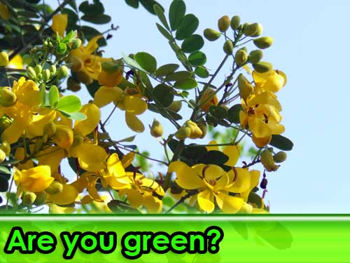 Are you green?