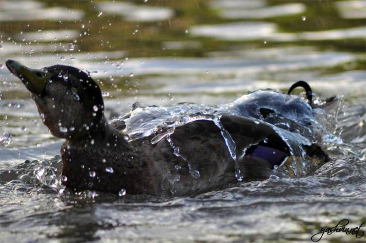 Catching the right moment Catching the right moment