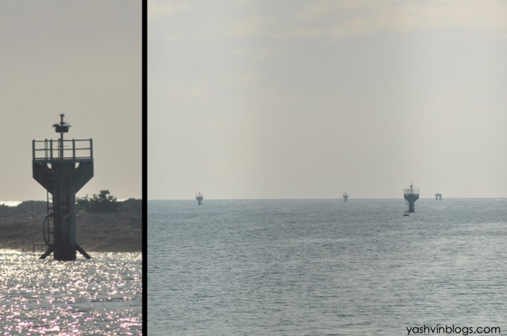 the thing in the sea