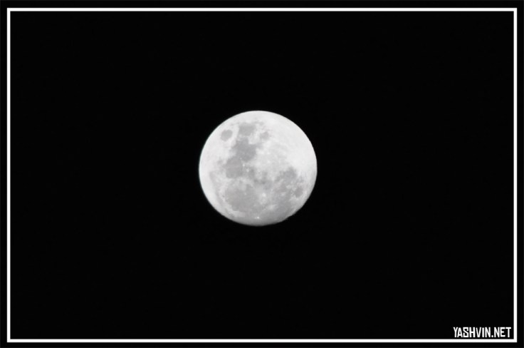 Moon cropped Moon cropped