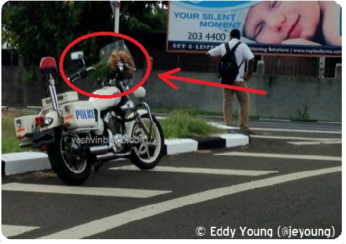 Police Moto - Zoomed